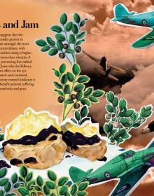 100 Plants That (Almost) Changed The World