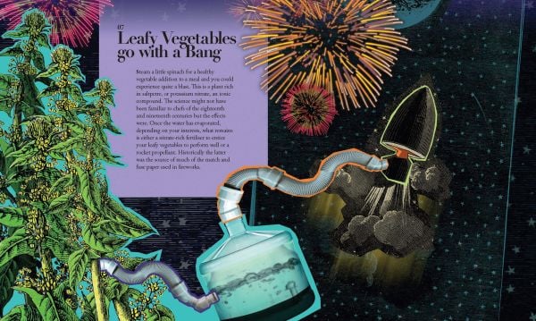 Book cover of 100 Plants That (Almost) Changed The World; featuring a variety of plants, including a lily. Published by Papadakis.