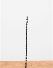 Artist Shilpa Gupta's sound installation exhibition featuring a tall metal spike on wood plinth.
