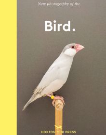 Salmon-created cockatoo standing on wooden perch, on cover of 'New photography of the Bird.', by Hoxton Mini Press.