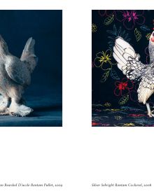Book cover of New photography of the Bird, with salmon-created cockatoo standing on wooden perch. Published by Hoxton Mini Press.