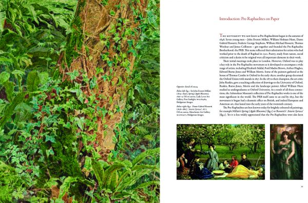 Drawing of The Day Dream by Dante Gabriel Rossetti, model holding white flower, on cover of 'Pre-Raphaelite Drawings and Watercolours', by Ashmolean Museum.