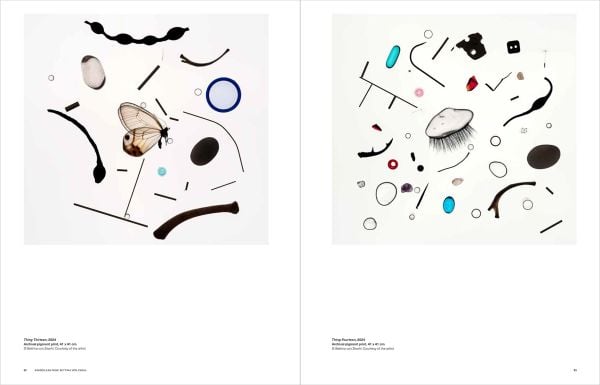 Book cover of Ashmolean NOW: Bettina von Zwehl, with an abstract artwork. Published by Ashmolean Museum.