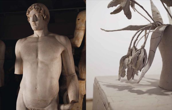 Book cover of Ashmolean NOW 4: Daphne Wright: Deep-Rooted Things: featuring an unfired clay doorless fridge with a vase of flowers on top. Published by Ashmolean Museum.