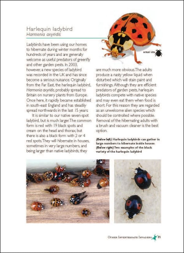 Pests in Houses Great & Small