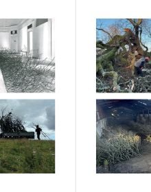 Andy Goldsworthy