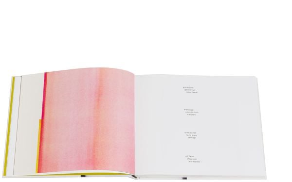 Vertical bleeding black paint line to centre of cream cover of 'Callum Innes – a pure land', by Circa Press.