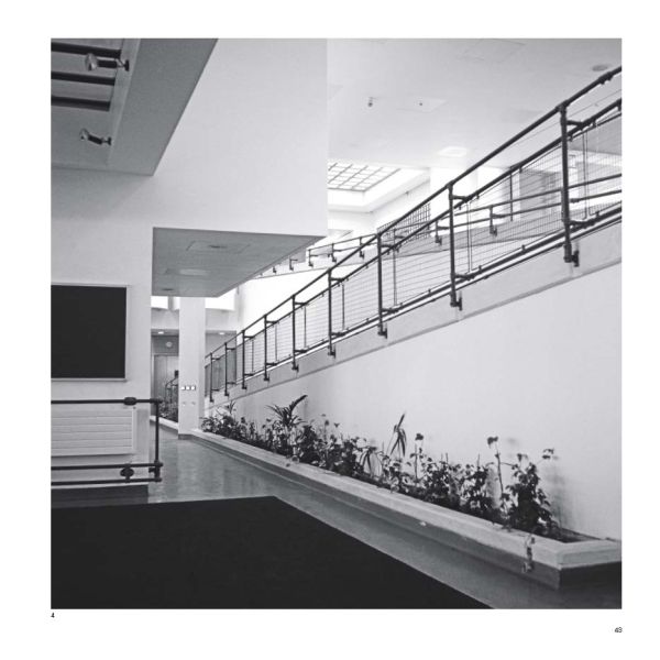 Book cover of Evans + Shalev. Published by Circa Press.