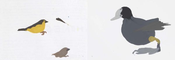 Book cover of A Book of Birds by Humphrey Ocean, featuring a naive painting of a long beaked bird with black head and red body. Published by Royal Academy of Arts.