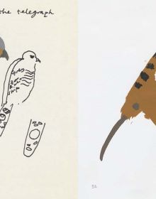 Book cover of A Book of Birds by Humphrey Ocean, featuring a naive painting of a long beaked bird with black head and red body. Published by Royal Academy of Arts.