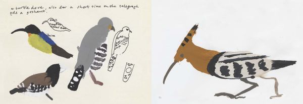 Book cover of A Book of Birds by Humphrey Ocean, featuring a naive painting of a long beaked bird with black head and red body. Published by Royal Academy of Arts.