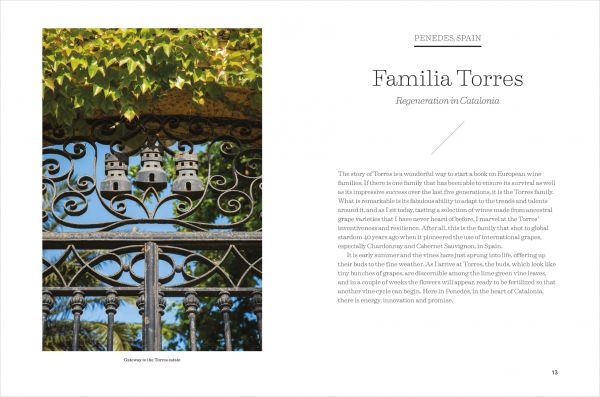 Book cover of 10 Great Wine Families, A Tour Through Europe, featuring sloping vineyards. Published by Academie du Vin Library.