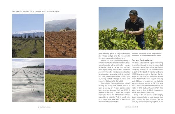 Book cover of Chateau Musar, The Story of a Wine Icon, with suited men holding glasses of wine, standing on steps of barrel store. Published by Academie du Vin Library.