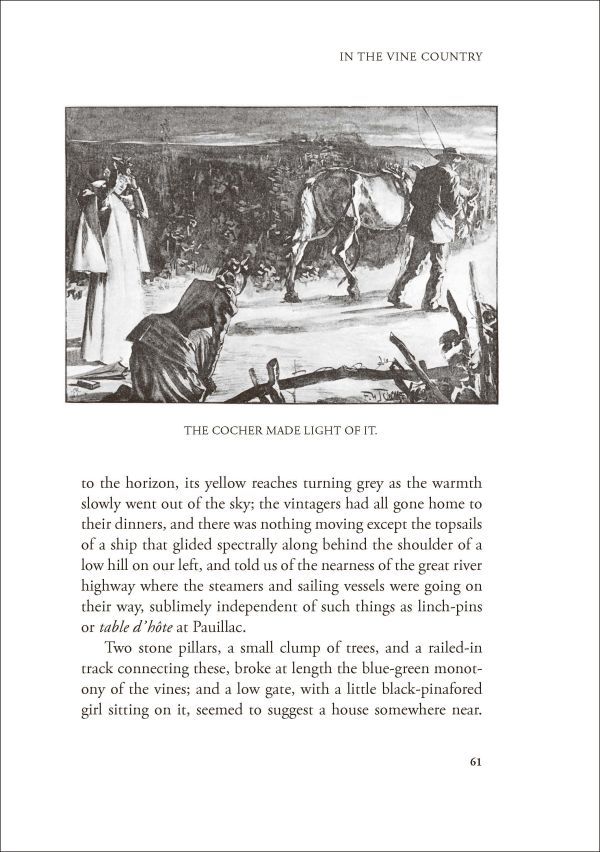 Book cover of In the Vine Country, featuring an impressionist painting titled 'Women Tying the Vine' by Henri-Edmond Cross, 1890. Published by Academie du Vin Library.