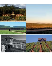 Vineyard with mountainous backdrop, on cover of 'On California, From Napa to Nebbiolo… Wine Tales from the Golden State', by Academie du Vin Library.