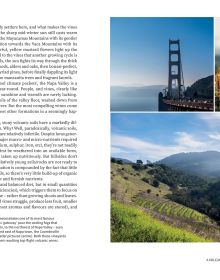 Book cover of On California, From Napa to Nebbiolo… Wine Tales from the Golden State, with a vineyard with mountainous backdrop. Published by Academie du Vin Library.