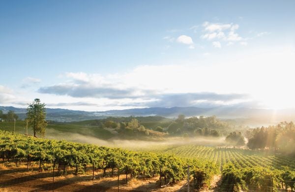 Book cover of On California, From Napa to Nebbiolo… Wine Tales from the Golden State, with a vineyard with mountainous backdrop. Published by Academie du Vin Library.