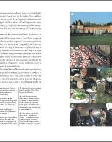 Book cover of The Life and Wines of Hugh Johnson, featuring Hugh Johnson pouring a glass of rose wine. Published by Academie du Vin Library.