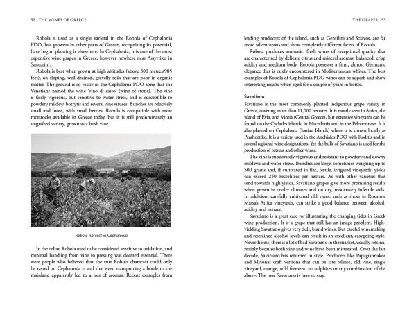 Book cover of Konstantinos Lazarakis's guide, The Wines of Greece, with vineyards. Published by Academie du Vin Library.