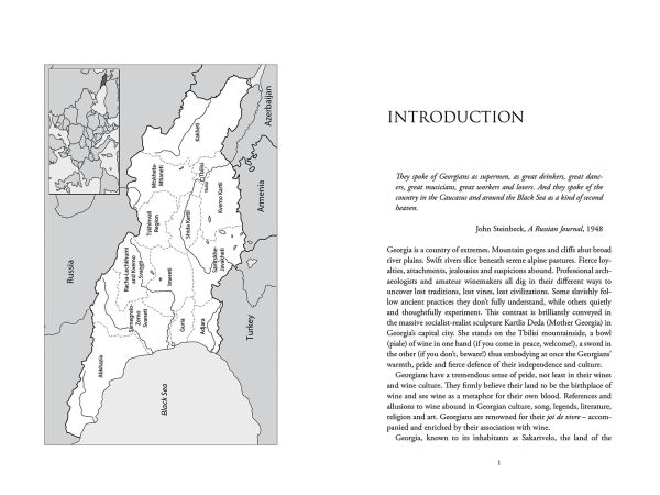 Book cover Lisa Granik's guide, The Wines of Georgia, with clay vessels underground in the cellar at the Nekresi Monastery in Kakheti, Eastern Georgia. Published by Academie du Vin Library.