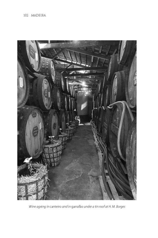 Book cover of Richard Mayson's guide, Madeira, The Islands and Their Wines, with an aerial view of vineyards on the coast, with the sea to the right. Published by Académie du Vin Library.