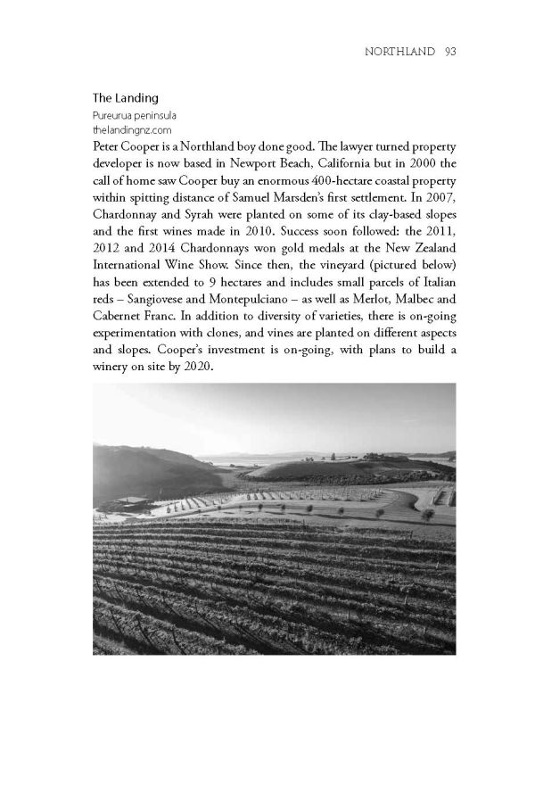 Book cover of Rebecca Gibb's guide, The Wines of New Zealand, featuring snow-topped mountains with hills and vineyards below. Published by Academie du Vin.