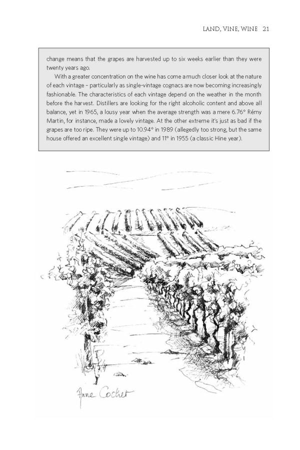 Book cover of Nicholas Faith's comprehensive guide, Cognac The Story of the World's Greatest Brandy, with a view of vineyards through an archway, with barrels below. Published by Academie du Vin Library.