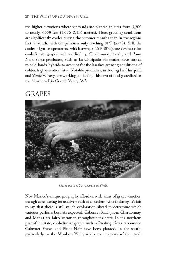 Book cover of Jessica Dupuy's guide, The Wines of Southwest U.S.A, with vineyards under a bright yellow sun. Published by Academie du Vin.