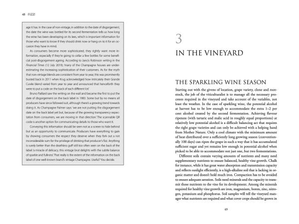 Book cover of Anthony Rose's guide Fizz! Champagne and Sparkling Wines of the World, with three piles of wire cage bottle tops. Published by Academie du Vin Library.