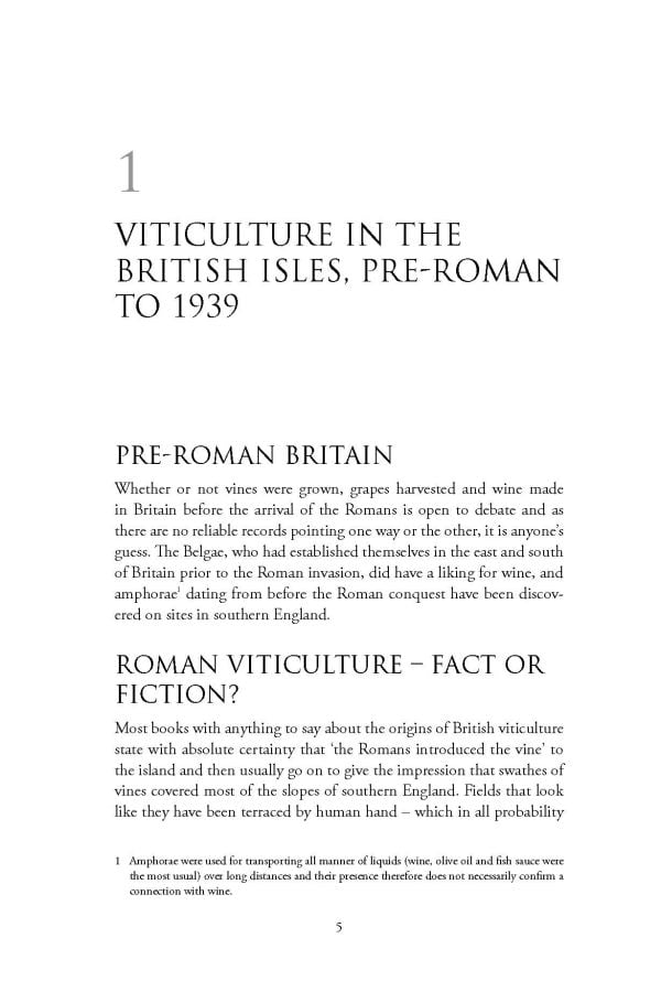 Book cover of Stephen Skelton's guide, The Wines of Great Britain, with the Oast House Meadow vineyard of Hush Heath Estate, Kent, under bright blue sky. Published by Academie du Vin Library.