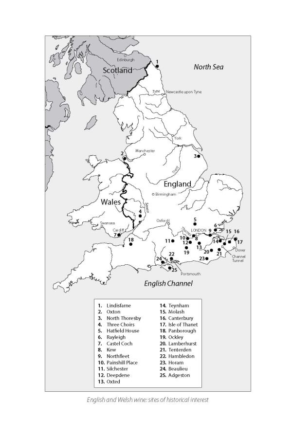 Book cover of Stephen Skelton's guide, The Wines of Great Britain, with the Oast House Meadow vineyard of Hush Heath Estate, Kent, under bright blue sky. Published by Academie du Vin Library.