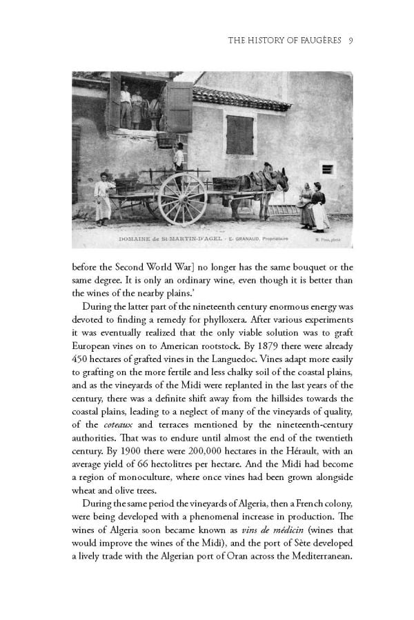 Book cover of Rosemary George's guide, The Wines of Faugères, with a vineyard green hills with buildings behind. Published by Academie du Vin Library.