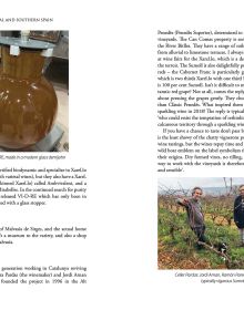 Book cover of Sarah Jane Evans's guide, The Wines of Central and Southern Spain, with rolling golden hills and a vineyard. Published by Academie du Vin Library.