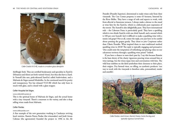 Book cover of Sarah Jane Evans's guide, The Wines of Central and Southern Spain, with rolling golden hills and a vineyard. Published by Academie du Vin Library.