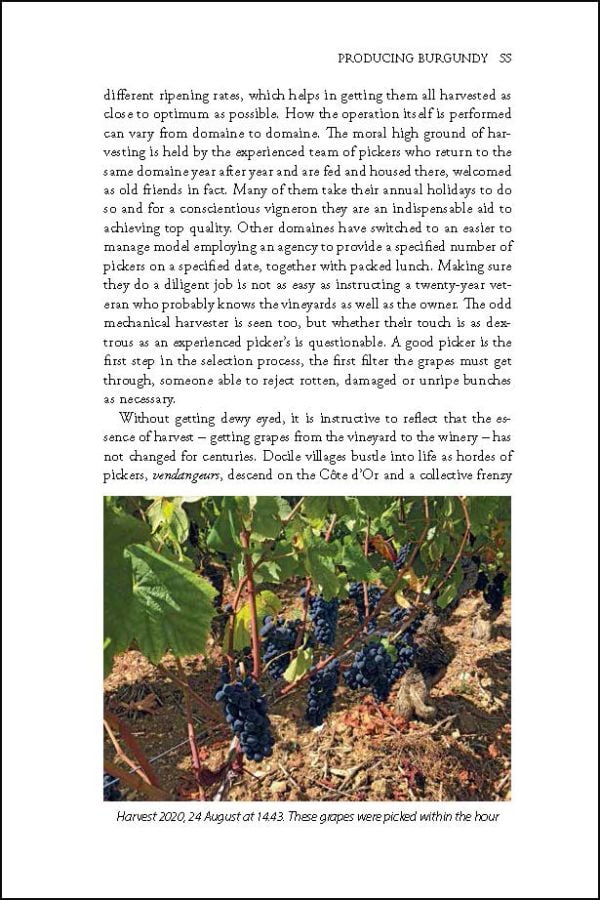 Book cover of Raymond Blake's guide, Côte d'Or, The Wines and Winemakers of the Heart of Burgundy, with the Chateau de Corton Andre, with vineyards in front. Published by Academie du Vin Library.