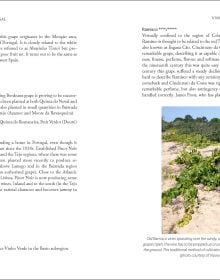 Book cover of The Wines of Portugal; with vineyards. Published by Academie du Vin Library.