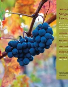 Book cover of On Tuscany: From Brunello to Bolgheri, Wine Tales from the Heart of Italy, with a vineyard, and mountains behind. Published by Academie du Vin Library.