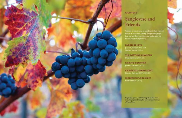 Book cover of On Tuscany: From Brunello to Bolgheri, Wine Tales from the Heart of Italy, with a vineyard, and mountains behind. Published by Academie du Vin Library.