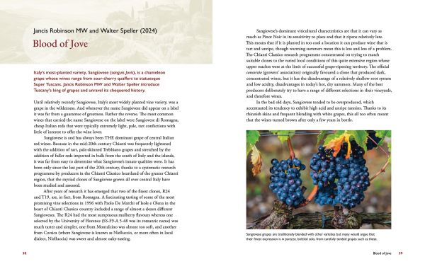 Book cover of On Tuscany: From Brunello to Bolgheri, Wine Tales from the Heart of Italy, with a vineyard, and mountains behind. Published by Academie du Vin Library.