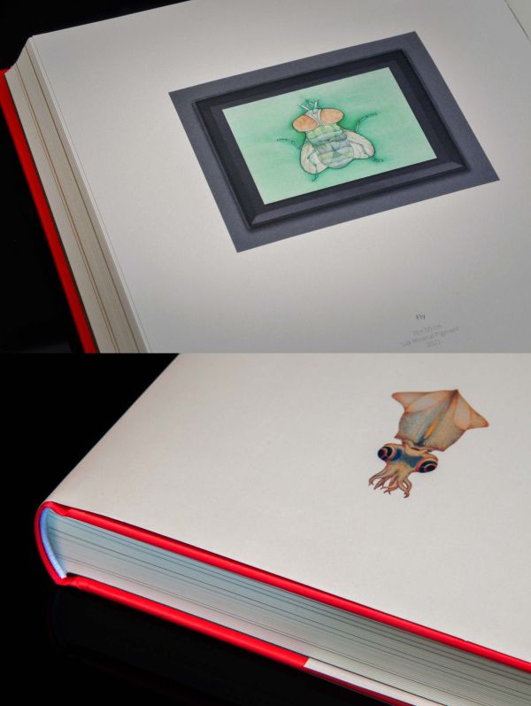 Book cover of Chen Duxi's Between Earth And Heaven, with pink magnolia flower on end of branch. Published by Artpower International.