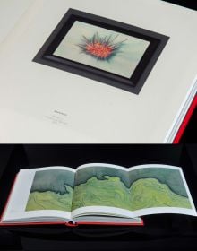 Book cover of Chen Duxi's Between Earth And Heaven, with pink magnolia flower on end of branch. Published by Artpower International.