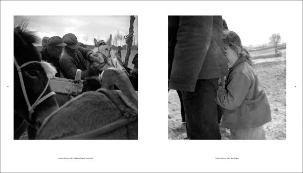 Book cover of Li Qiang: China Since 1981, with a aerial view of goats walking through landscape. Published by Artpower International.