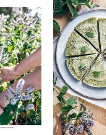 Branches of yellow, pink, and red flowers, on grey cover of 'Wild & Sweet, Forage and Make 101 Seasonal Desserts', by Hoxton Mini Press.