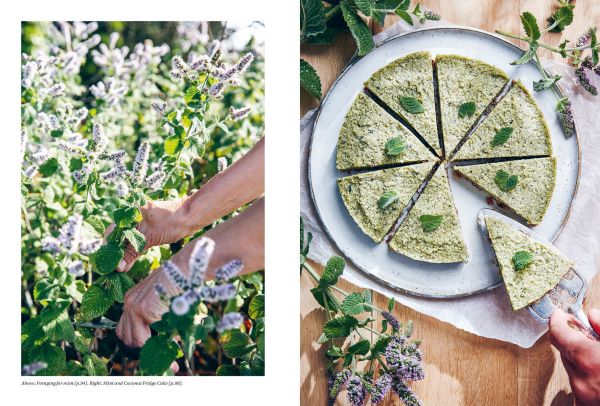 Book cover of 'Wild & Sweet, Forage and Make 101 Seasonal Desserts', with pink and yellow flowers. Published by Hoxton Mini Press.