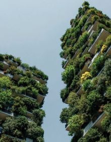 Book cover of Olivia Broome's Brutalist Plants, with a concrete, multi-storey building with green plants growing over the edges. Published by Hoxton Mini Press.