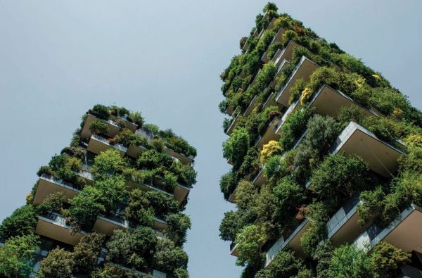 Book cover of Olivia Broome's Brutalist Plants, with a concrete, multi-storey building with green plants growing over the edges. Published by Hoxton Mini Press.