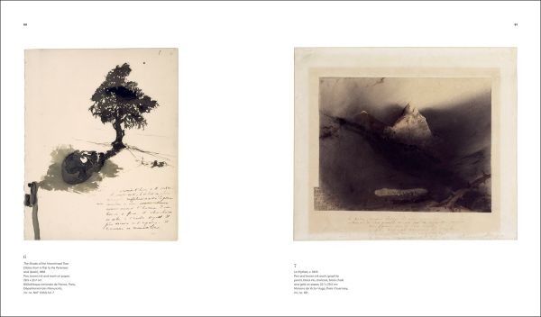 Book cover of Astonishing Things: The Drawings of Victor Hugo, featuring a drawing in black ink of an octopus. Published by Royal Academy of Arts.