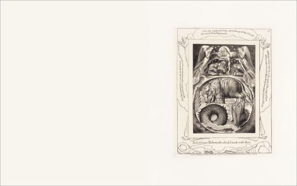 Illustrations of the Book of Job