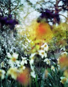 Close up shot of spider cobwebs covered with water droplets, spun over rocks and leaves, on cover of 'Passing Through', by Lost Press.