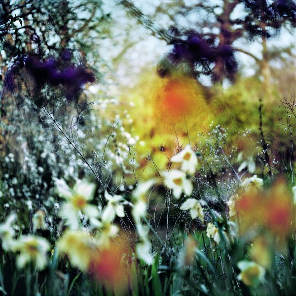 Close up shot of spider cobwebs covered with water droplets, spun over rocks and leaves, on cover of 'Passing Through', by Lost Press.